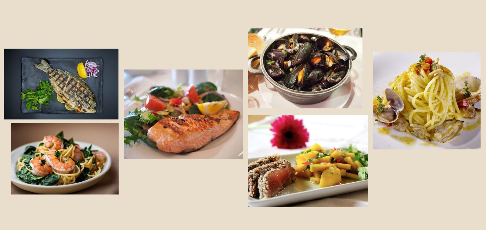 Free Website Template for Restaurants by Free-Template.co